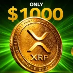 STRK Price Jumps 50% But Starknet Still Faces Brutal Reality